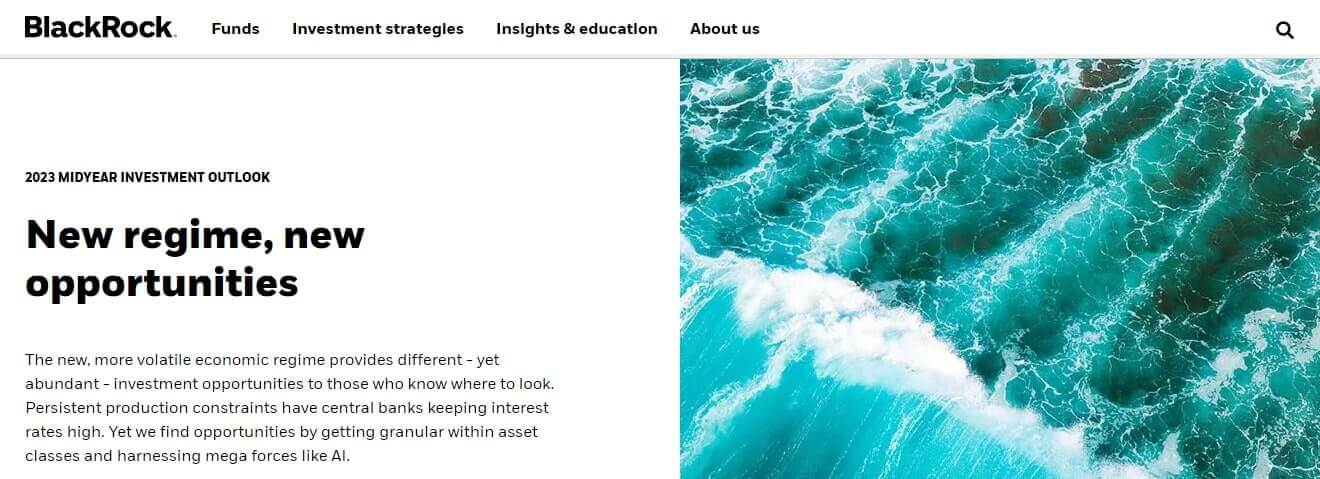 blackrock homepage